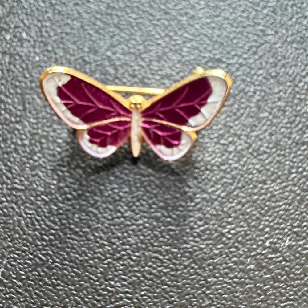 Assorted Insect Brooch Set - Picture 3 of 12